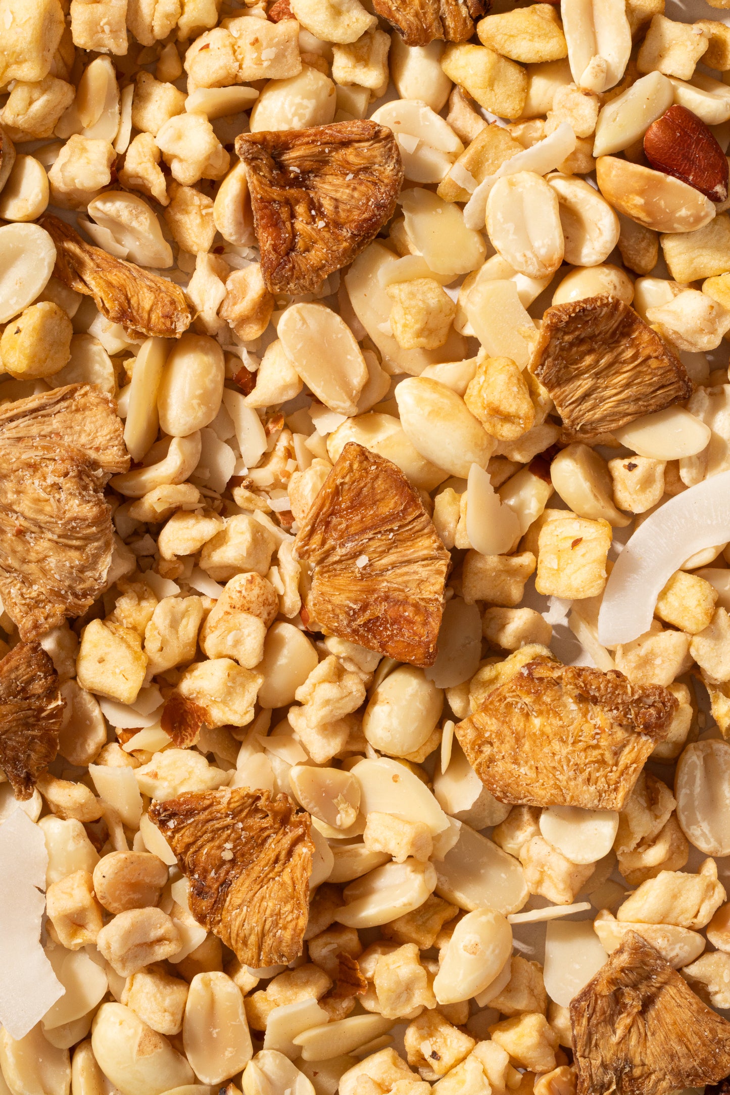 Mix de Frutas Deshidratadas y Nueces – 70g